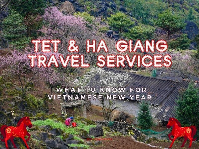 Tet & Ha Giang Travel Guide: Tours, Services & Tips for Vietnamese New Year